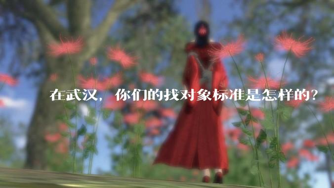 在武汉，你们的找对象标准是怎样的？