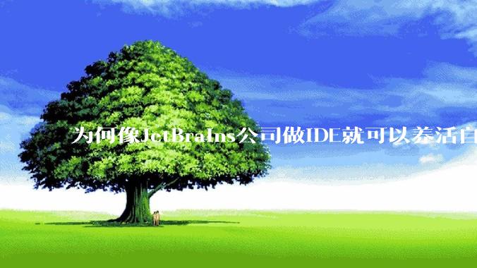 为何像JetBrains公司做IDE就可以养活自己，而国内做大型对公软件都很难养活公司？